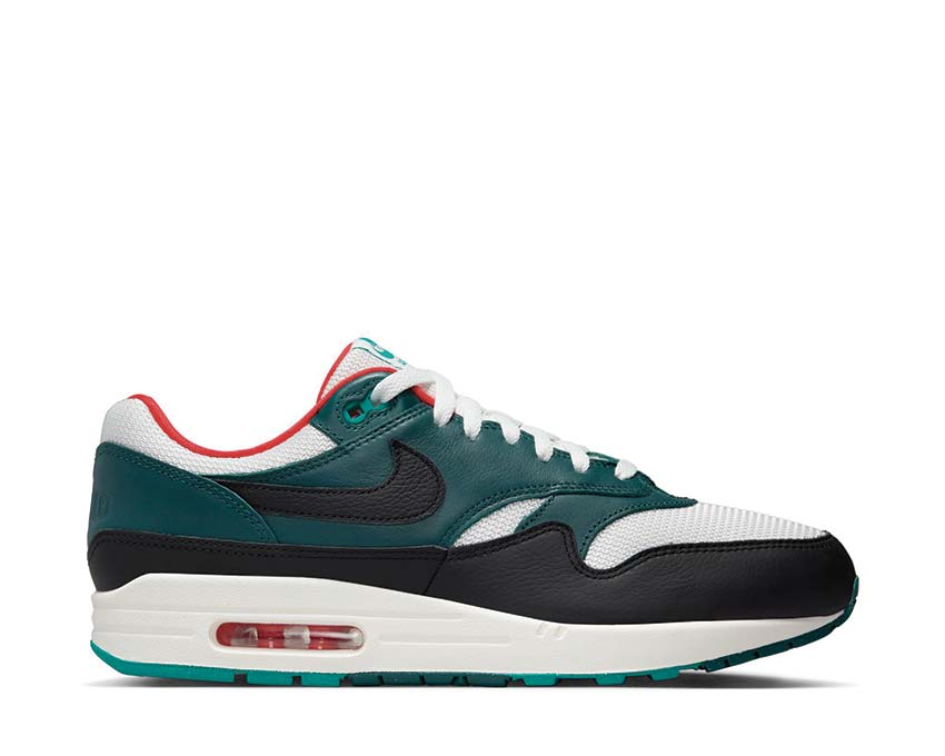 Nike Air Max 1 Prm Black FB8914-100
