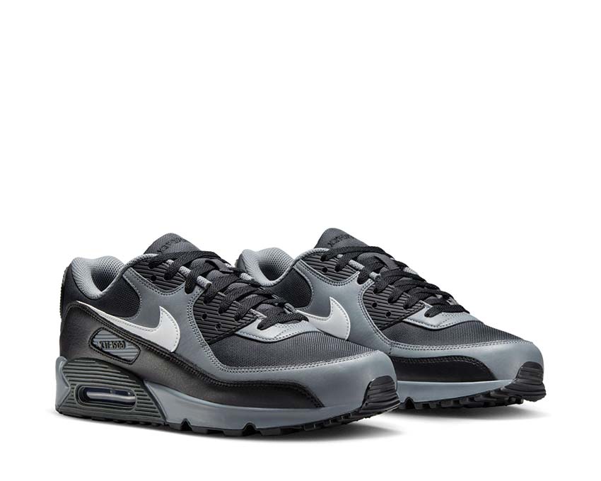 Nike Air Max 90 GTX DK Smoke Grey / Summit White - Cool Grey FD5810-002