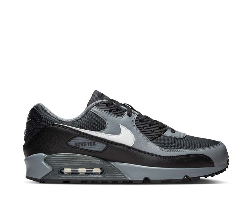 Nike Air Max 90 GTX DK Smoke Grey / Summit White - Cool Grey FD5810-002