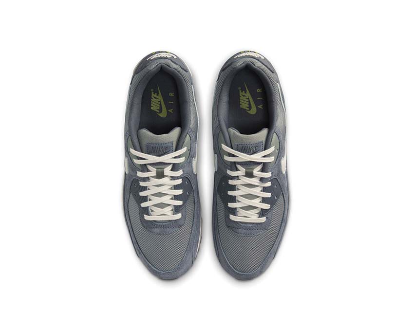 Nike Air Max 90 Prm Iron Grey / Phantom - Dark Stucco - Pear HJ3989-001