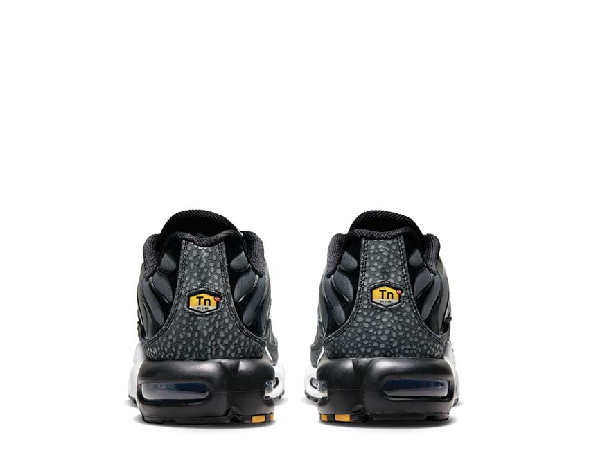 Nike Air Max Plus Black FD9755-001