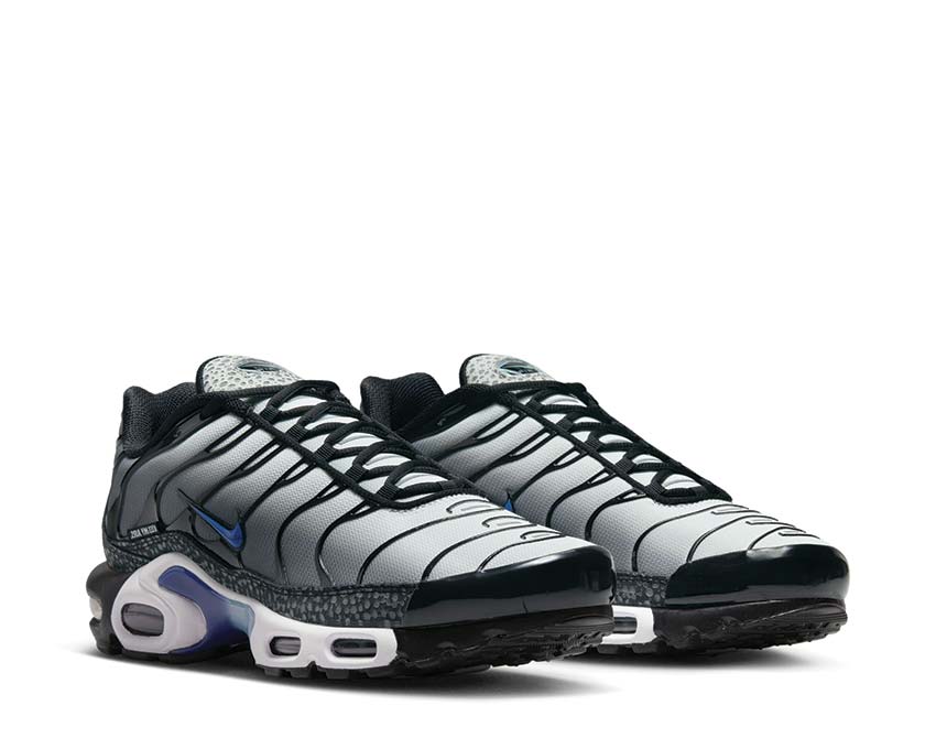 Nike Air Max Plus Black FD9755-001