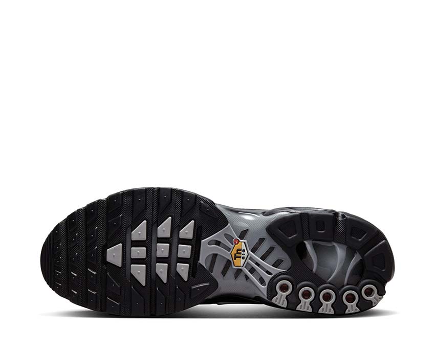 Nike Air Max Plus Black / White - Blue Lightning FJ4224-001