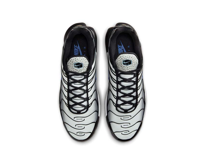 Nike Air Max Plus Black FD9755-001