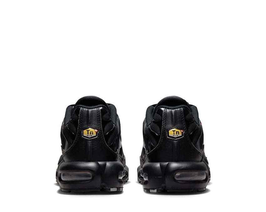 Nike Air Max Plus Black / White - Blue Lightning FJ4224-001