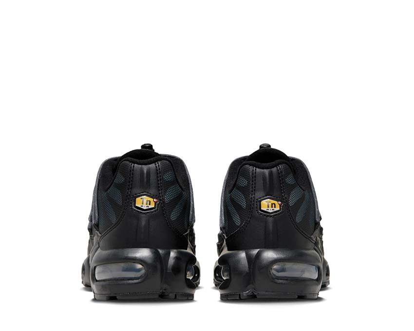 Nike Air Max Plus Black / Dark Grey - Salsa Red - Mtlc Platinum FZ2770-001