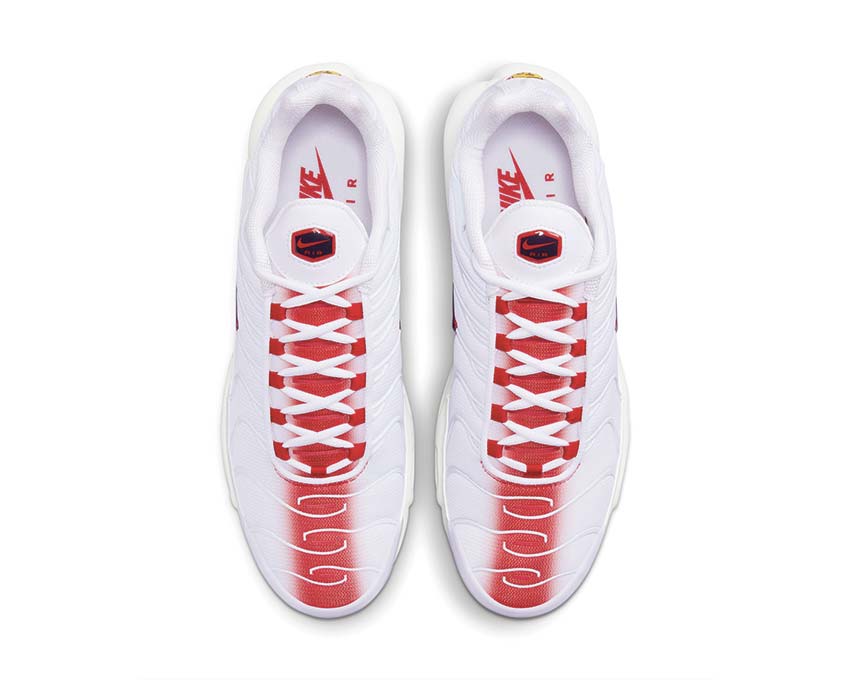 nike air max plus navy red