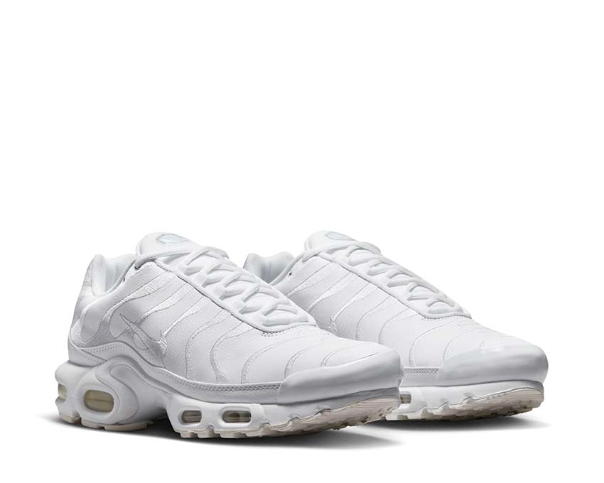 Nike Air Max Plus White / White - White AJ2029-100