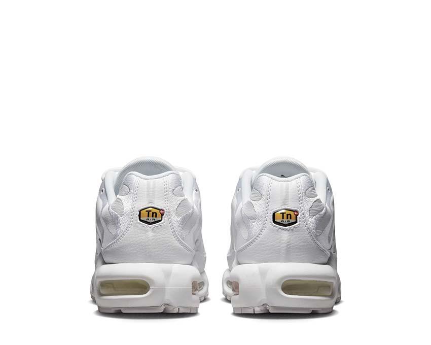 Nike Air Max Plus White / White - White AJ2029-100