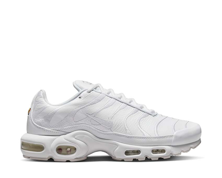 Nike Air Max Plus White / White - White AJ2029-100