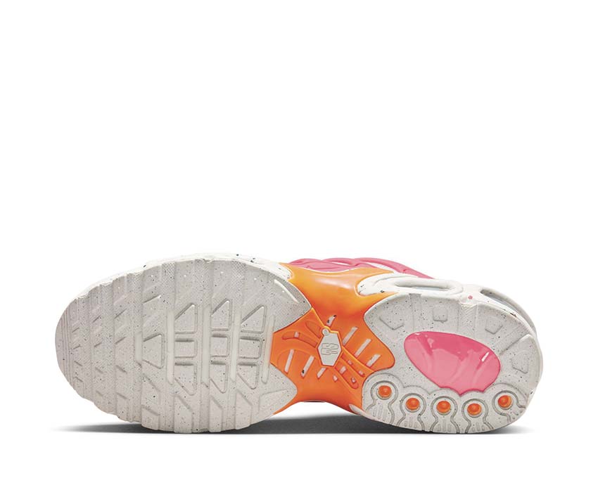 Nike Air Max Terrascape Plus Light Bone / Velvet Brown - Sea Coral DV7513-002