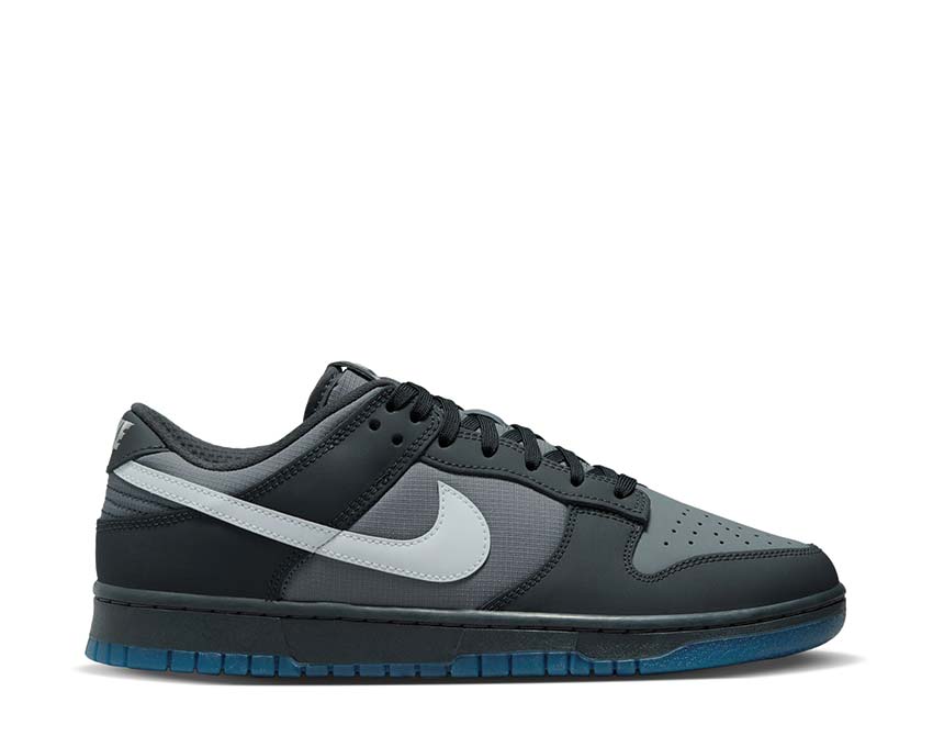Nike grey Dunk Low Anthracite / Pure Platinum - Cool Grey FV0384-001