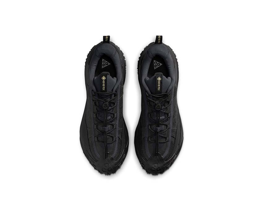 Buy Nike ACG Mountain Fly 2 Low Gore-Tex HF6245-001 - NOIRFONCE