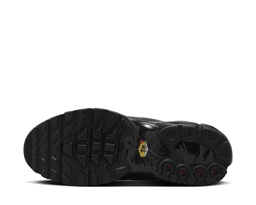 Nike Air Max Plus W «Tiempo» | NOIRFONCE