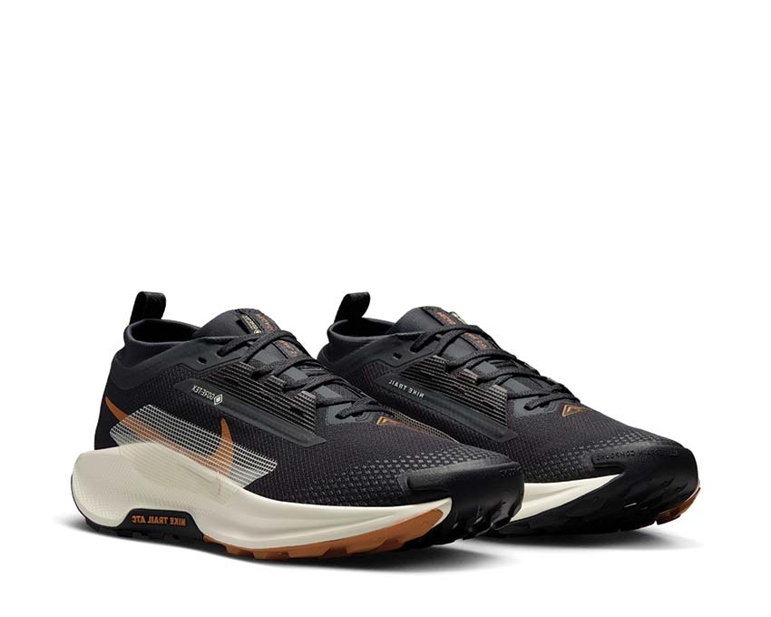 Acheter Nike Pegasus Trail 5 GTX FQ0908-007 - NOIRFONCE