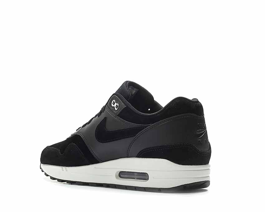 Nike Air Max 1 Premium 'Rebel Skulls Pack' 875844-001