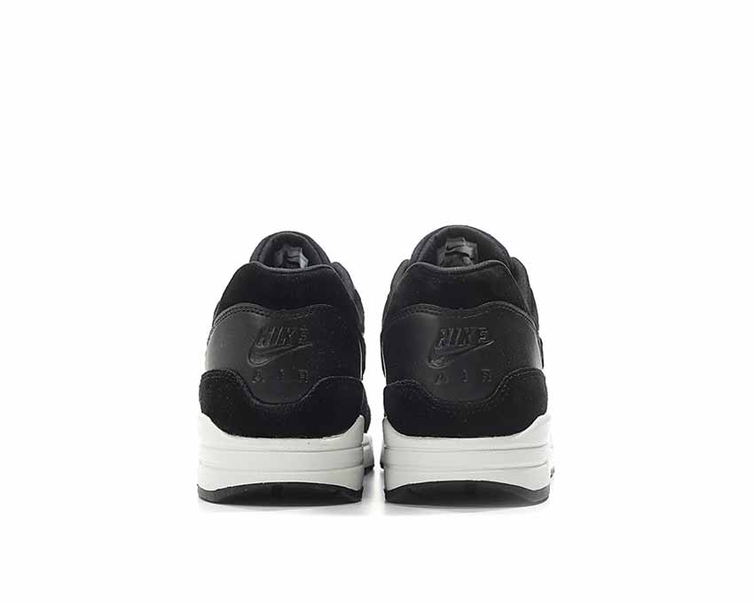Nike Air Max 1 Premium 'Rebel Skulls Pack' 875844-001