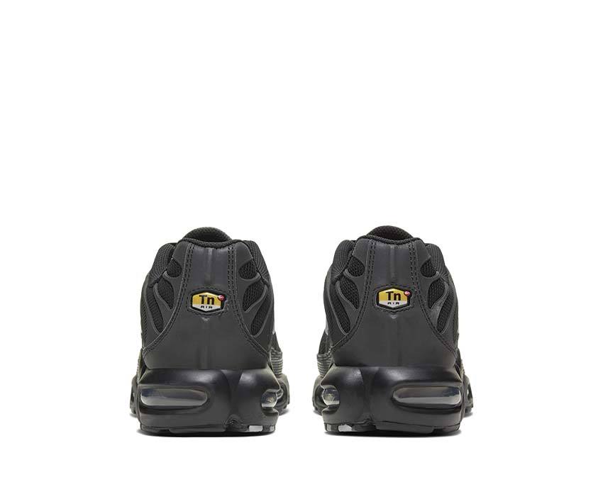 Nike Air Max Plus Black CT2542-002