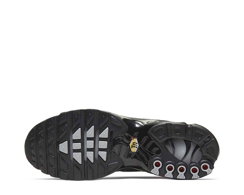 Nike Air Max Plus Black CT2542-002