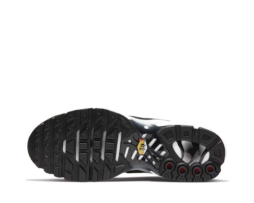 Nike Air Max Plus W Black / Black - White CQ6360-001