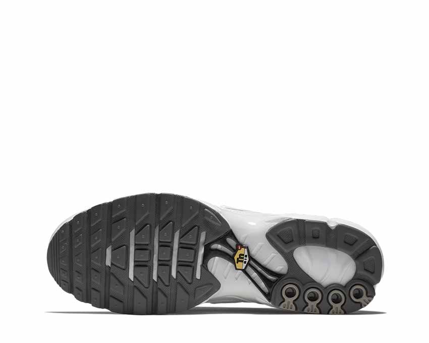 air max plus 604133 139