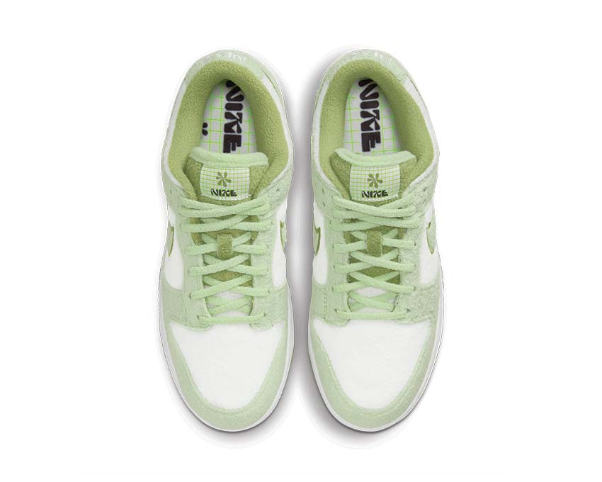 Nike Dunk Low SE CC DQ7579-300