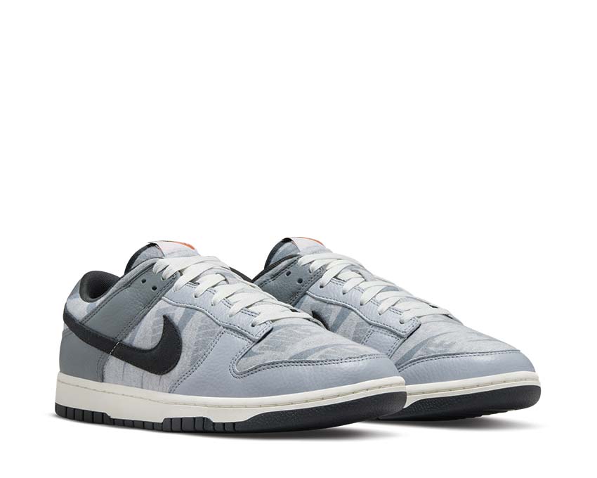 Buy Nike Dunk Low SE DQ5015-063 - NOIRFONCE