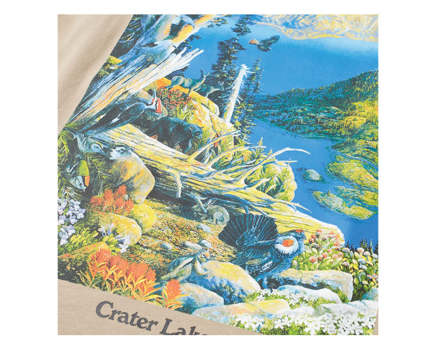 Nike M NRG ACG SS Crater Lake Tee Khaki / White DA4877-247
