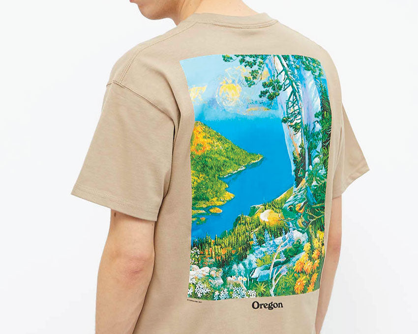 Nike M NRG ACG SS Crater Lake Tee Khaki / White DA4877-247