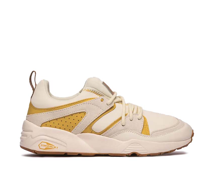 Puma Blaze Of Glory D.Sou Pristine / Bamboo 384024 01